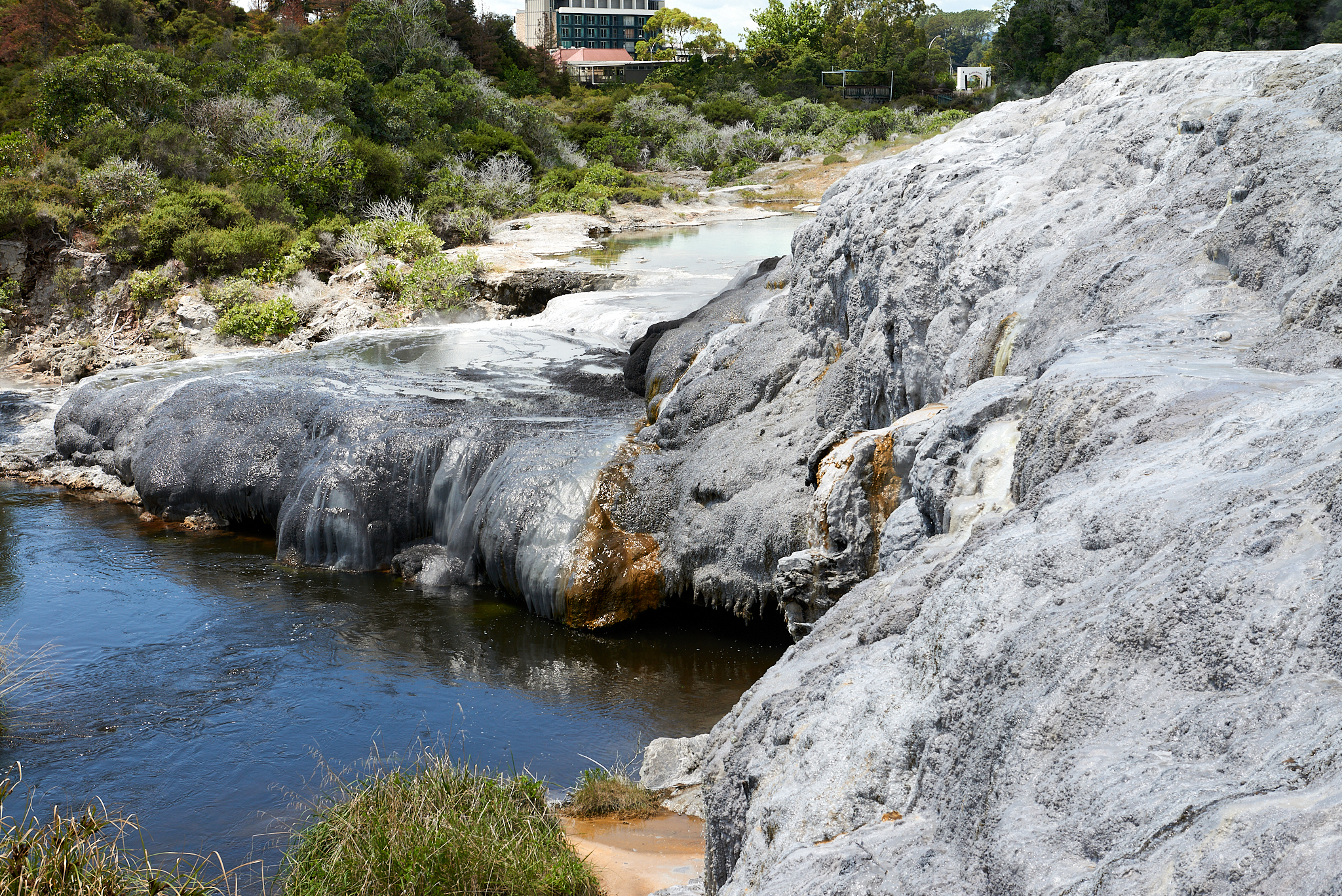 20180129 124 뉴질랜드 포후투
